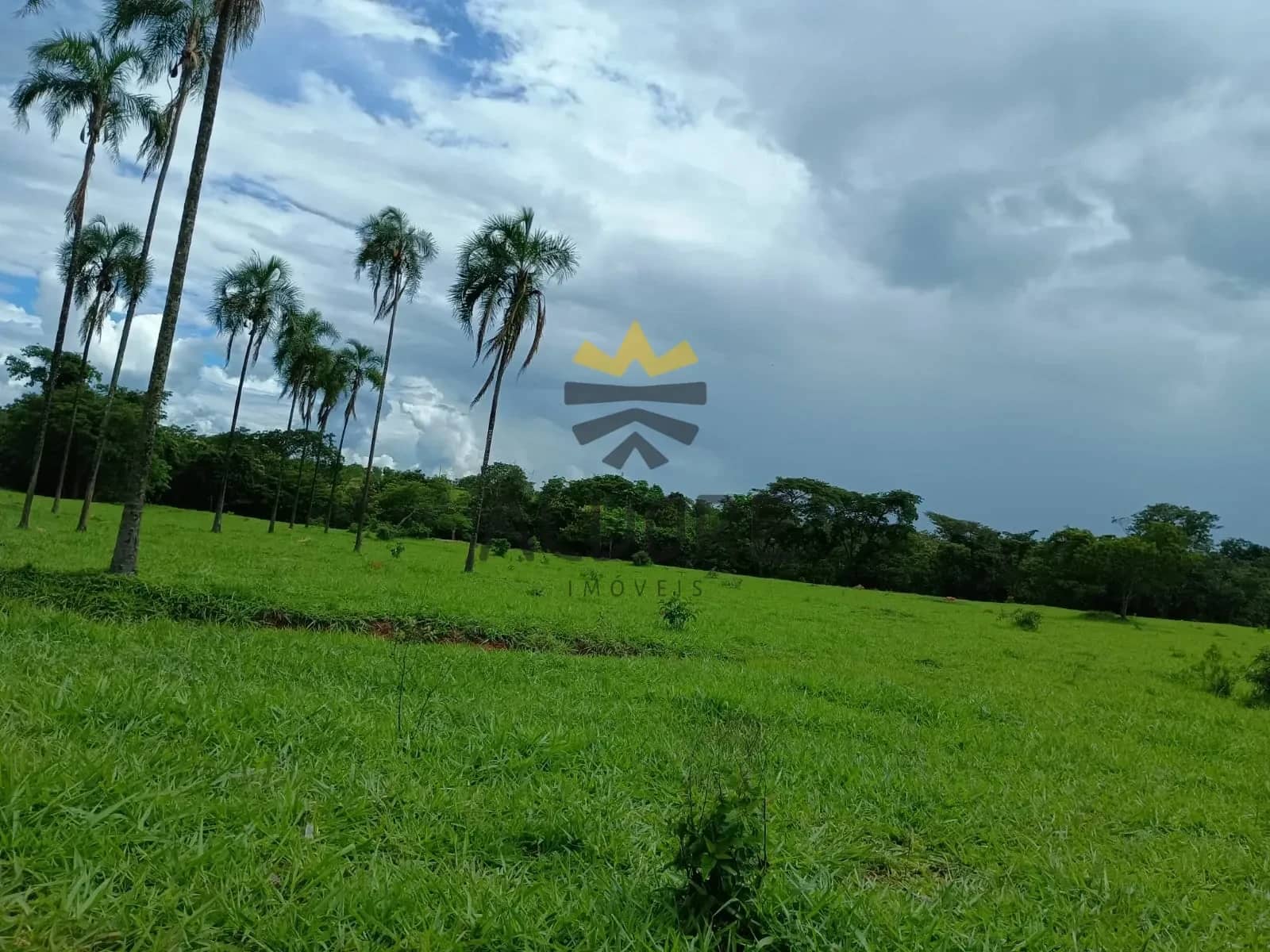 Fazenda à Venda | Água Fria de Goiás – GO