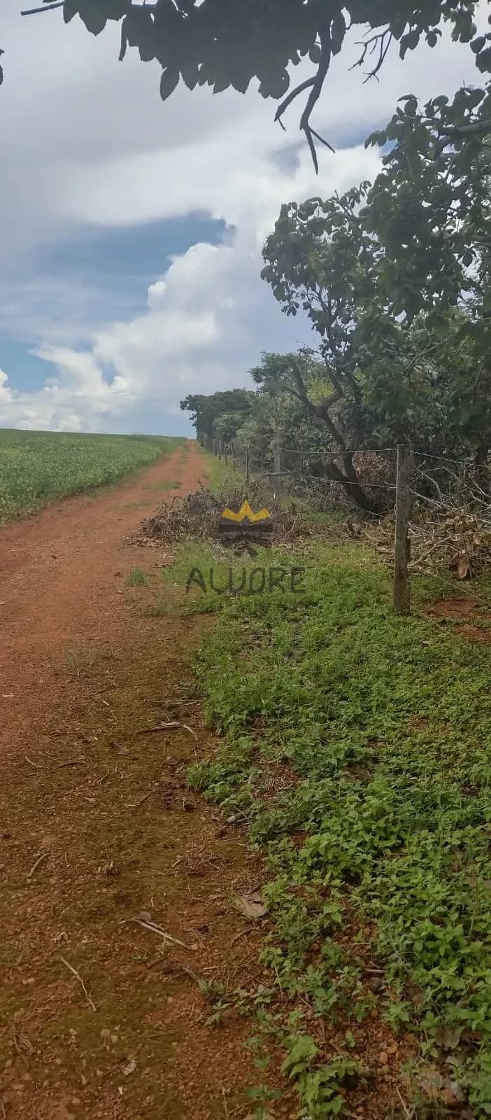 Fazenda à Venda | Água Fria de Goiás – GO